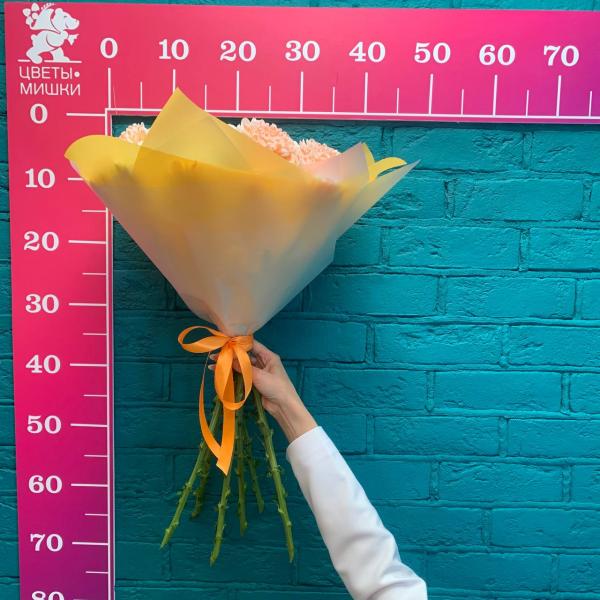 фото 7 разноцветных хризантем "Парящий"