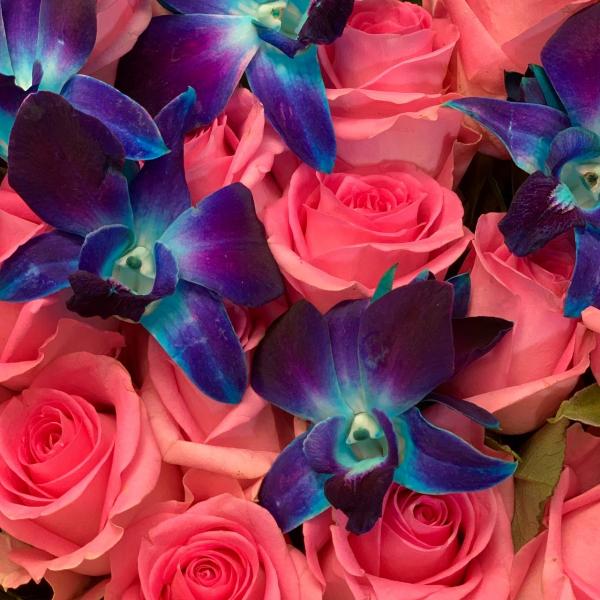 фото Розы и дендробиума "Палитра нежности"