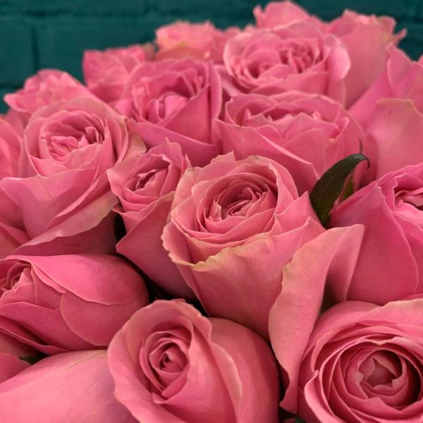 фото 35 розовых роз 80см "Сердечный трепет"