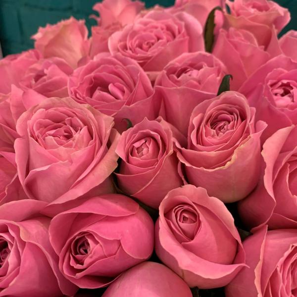 фото 51 розовая роза 80см "Сердечный порыв"