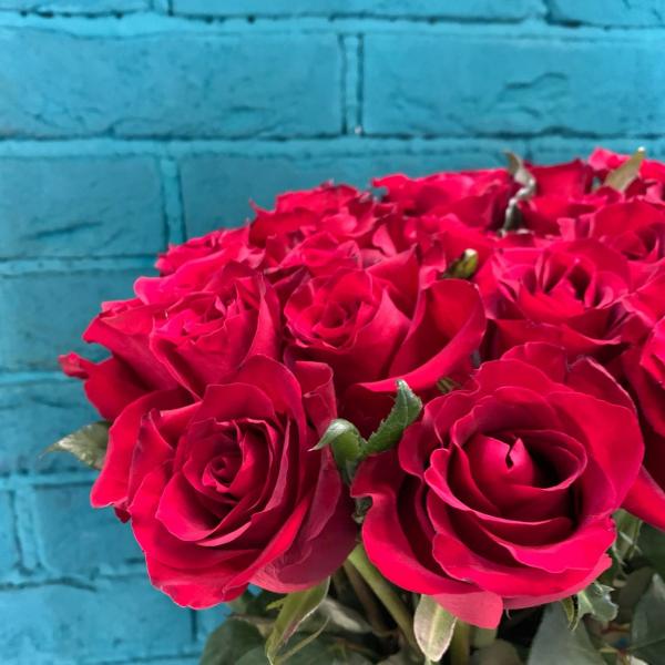фото 25 красных роз 80см "Мисс Вамп"