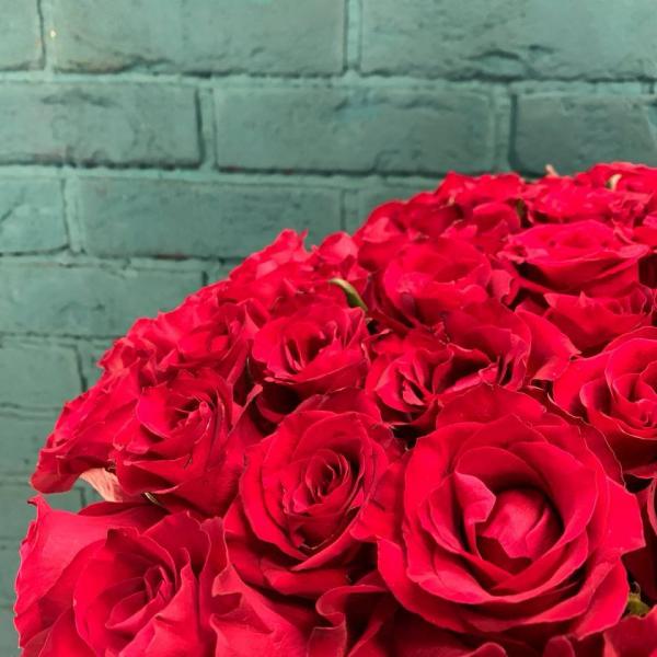 фото 75 красных роз 80см "Рубиновый закат"