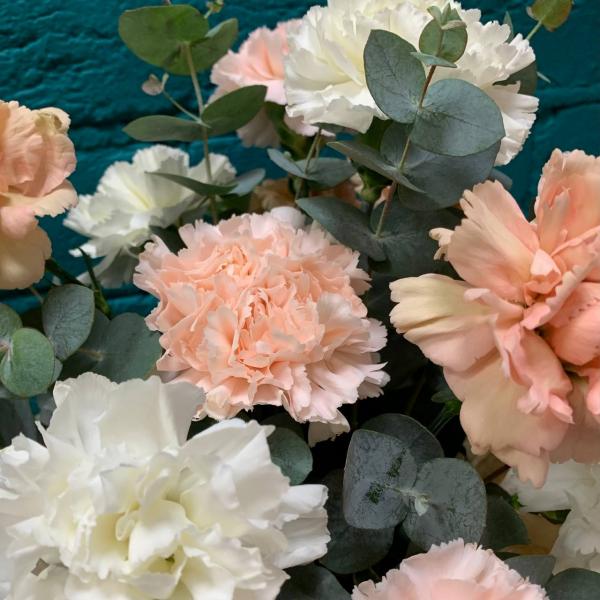 фото Гвоздики и эвкалипта "Заманчивый день"