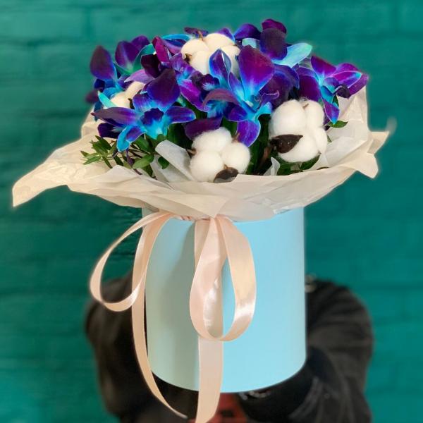 фото Дендробиума и хлопка "Млечный путь"