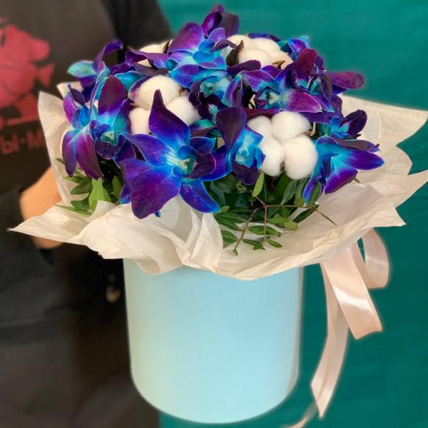 Дендробиум и хлопок "Млечный путь"