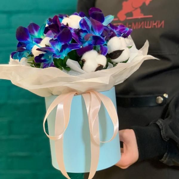 фото Дендробиума и хлопка "Млечный путь"