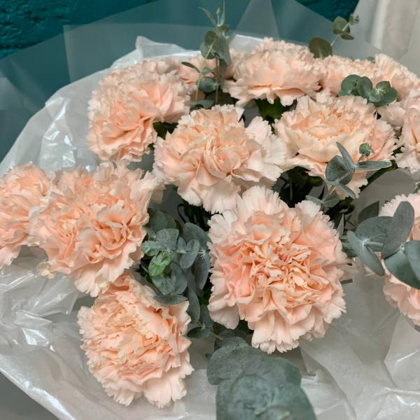 фото Розовой гвоздики и эвкалипта "Лукавая краса"