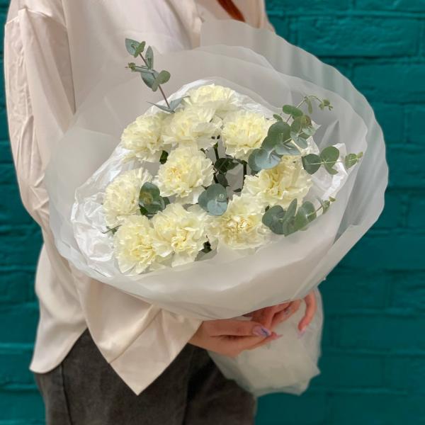 фото 11 белых гвоздик "Белоснежные сны"