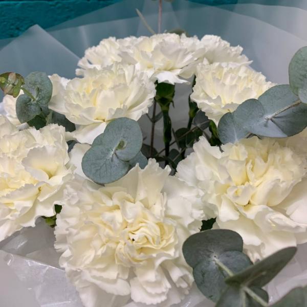 фото 11 белых гвоздик "Белоснежные сны"