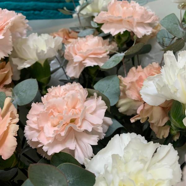 фото Гвоздики и эвкалипта "Искреннее удивление"