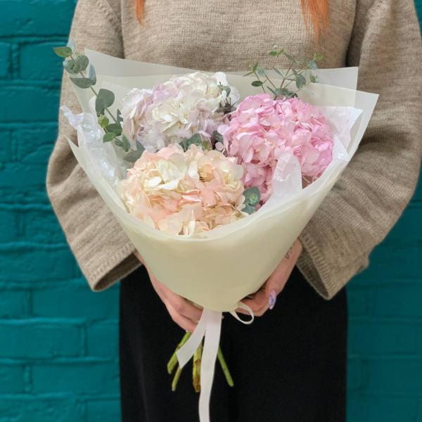 фото 3 гортензии "Чудо Франции"