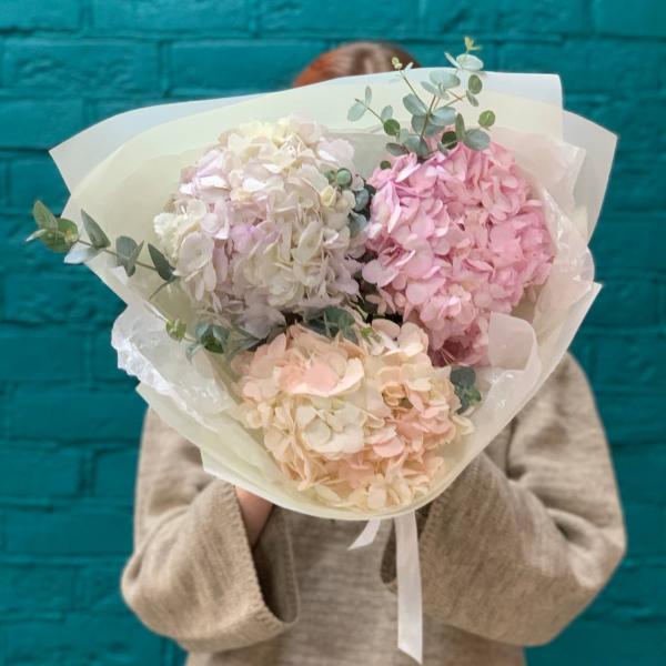 фото 3 гортензии "Чудо Франции"