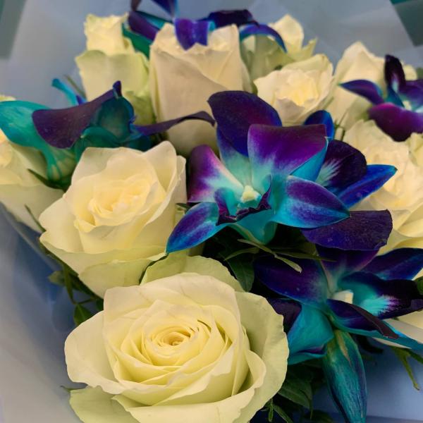 фото Белой розы и дендробиума "Звездный вечер"