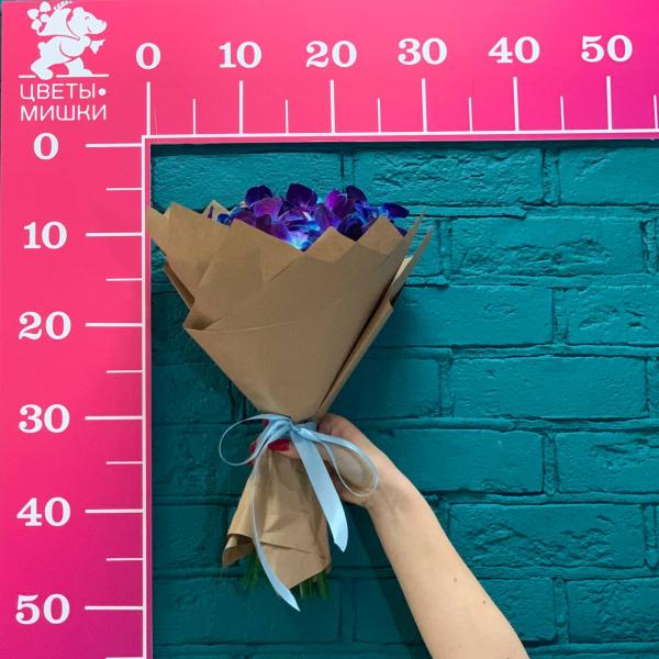 фото 17 синих орхидеи "Мир космоса"