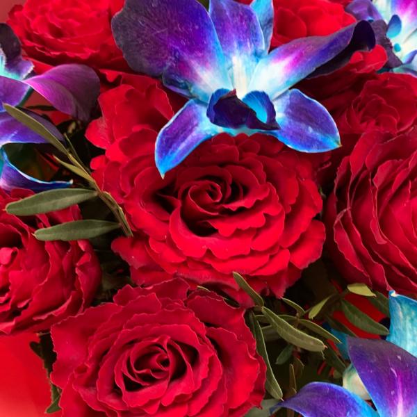 фото Красной розы и дендробиума "Бескрайний космос"