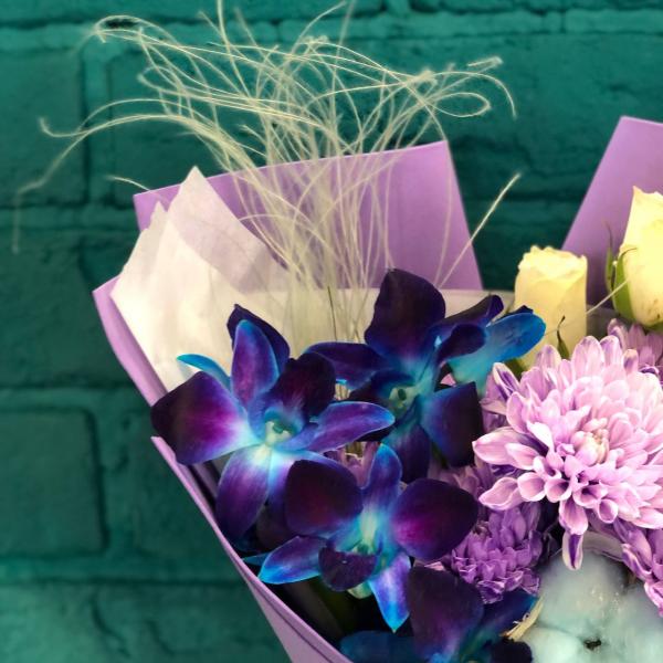 фото Хризантемы и дендробиума "Радостный хлопок"