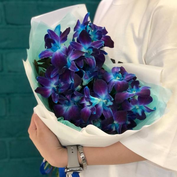 13 синих орхидей "Искра"