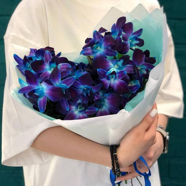 фото 13 синих орхидей "Искра"