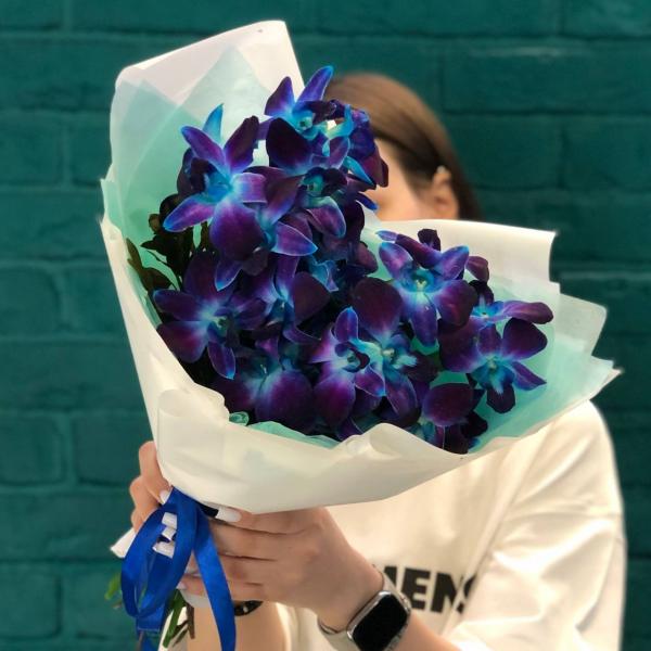 фото 13 синих орхидей "Искра"