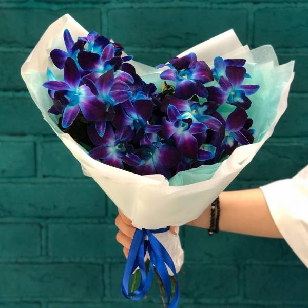 фото 13 синих орхидей "Искра"