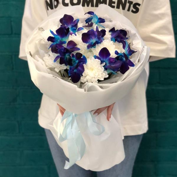 фото Хризантемы и орхидеи "Ночной лебедь"