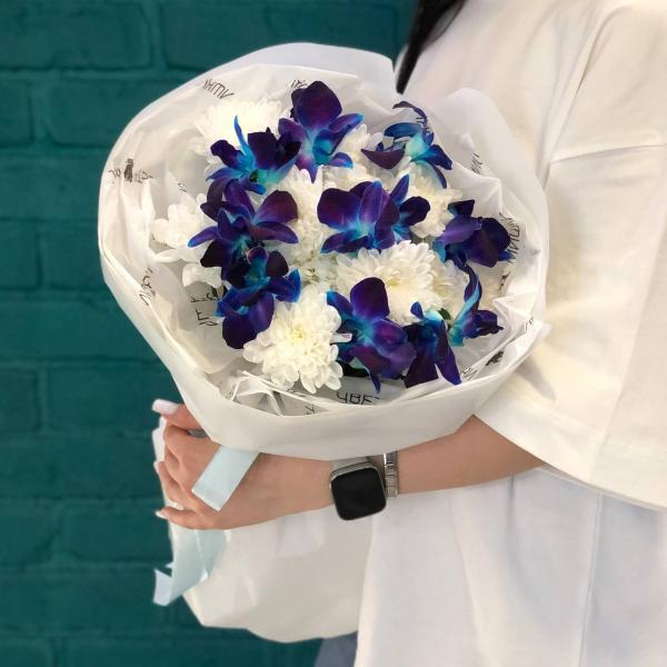 Хризантема и орхидея "Ночной лебедь"