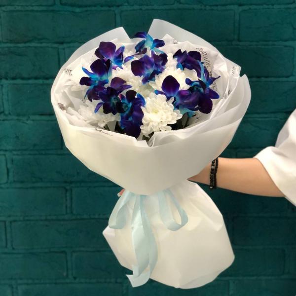 фото Хризантемы и орхидеи "Ночной лебедь"