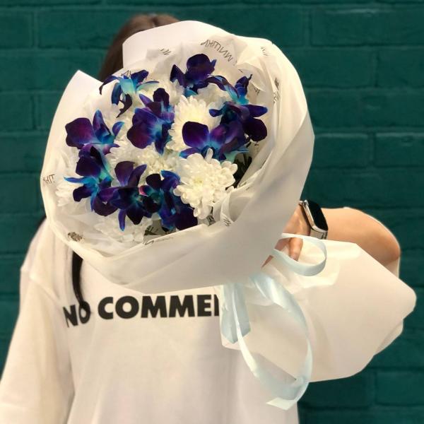 фото Хризантемы и орхидеи "Ночной лебедь"