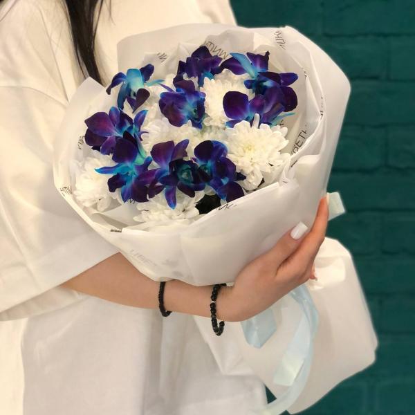 фото Хризантемы и орхидеи "Ночной лебедь"