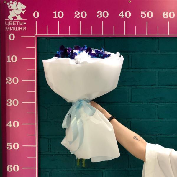 фото Хризантемы и орхидеи "Ночной лебедь"