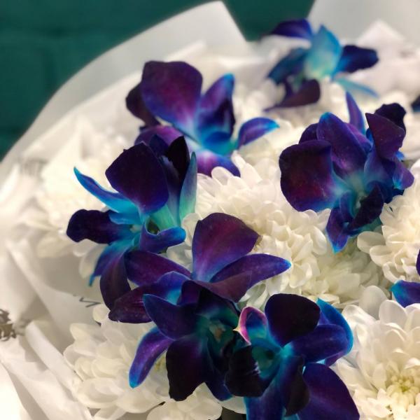 фото Хризантемы и орхидеи "Ночной лебедь"