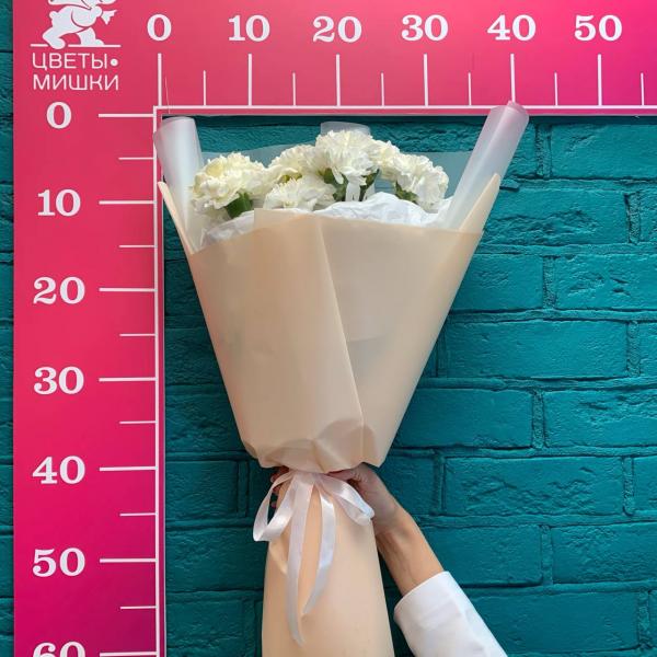 фото 11 белых гвоздик "Белоснежная долина"