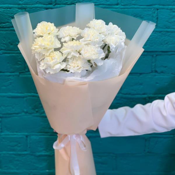 фото 11 белых гвоздик "Белоснежная долина"