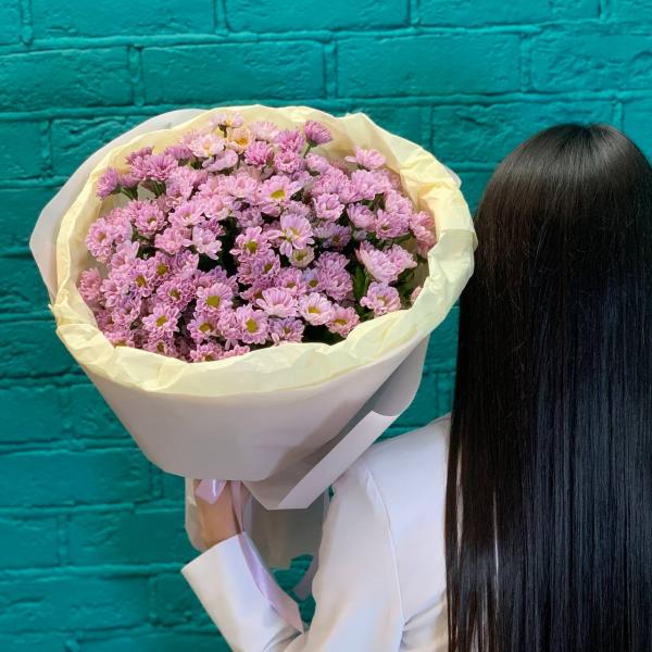 фото 15 фиолетовых хризантем "Таинственное очарование"