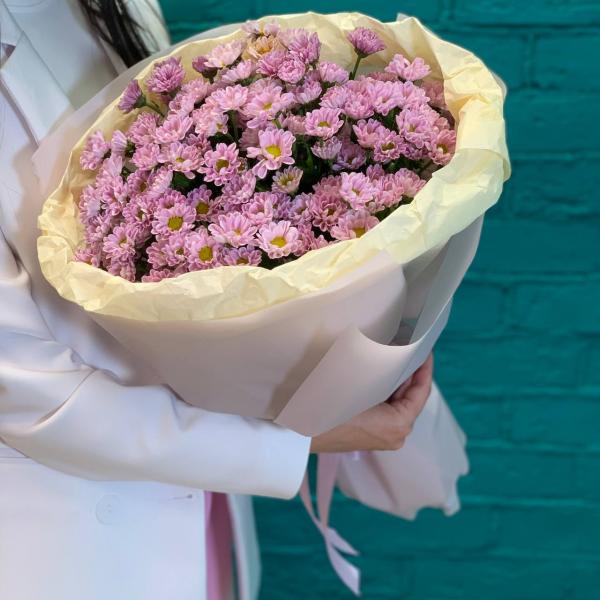 фото 15 фиолетовых хризантем "Таинственное очарование"