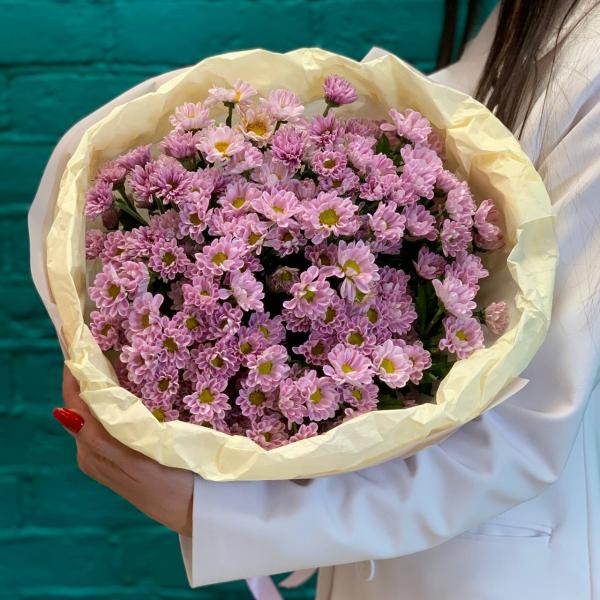 фото 15 фиолетовых хризантем "Таинственное очарование"