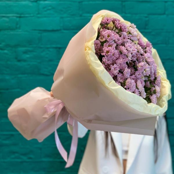 фото 15 фиолетовых хризантем "Таинственное очарование"