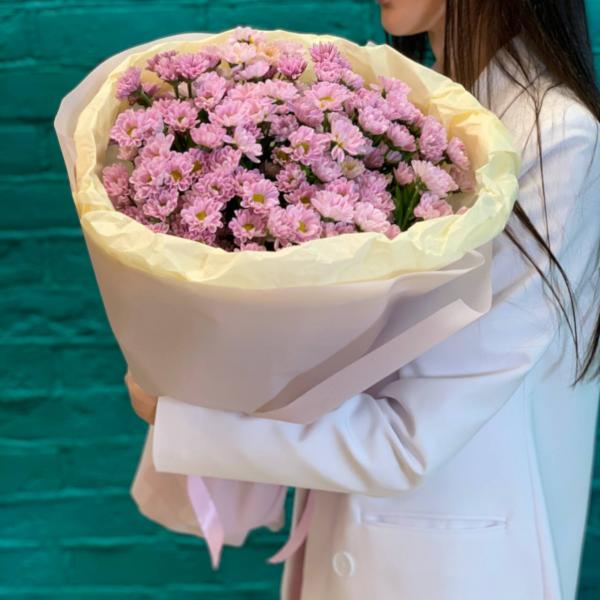 15 фиолетовых хризантем "Таинственное очарование"