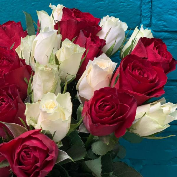 фото 51 разноцветной розы "Яркий август"