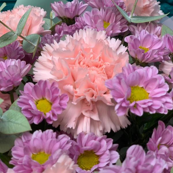 фото Диуантуса и хризантемы "Ричи"