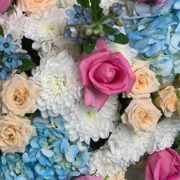 фото Гортензии и розы "Капли акварели"