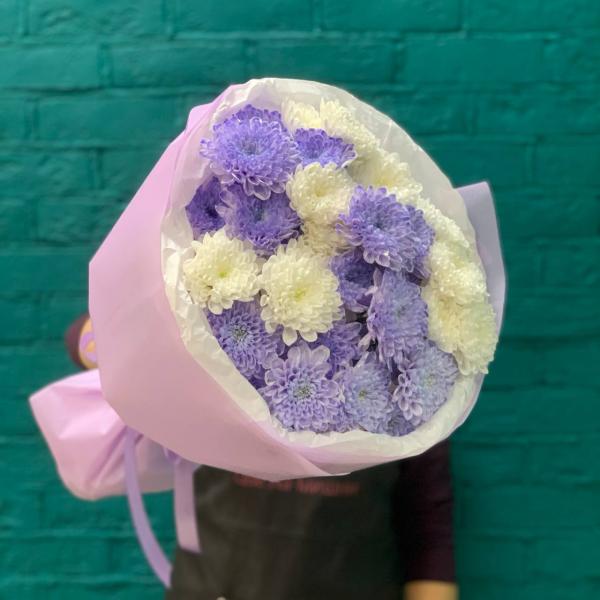 фото 7 лавандово-белых хризантем "Ежевичный йогурт"