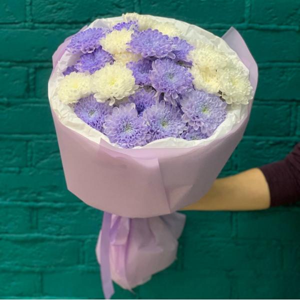 фото 7 лавандово-белых хризантем "Ежевичный йогурт"