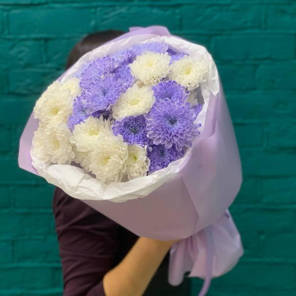 фото 7 лавандово-белых хризантем "Ежевичный йогурт"
