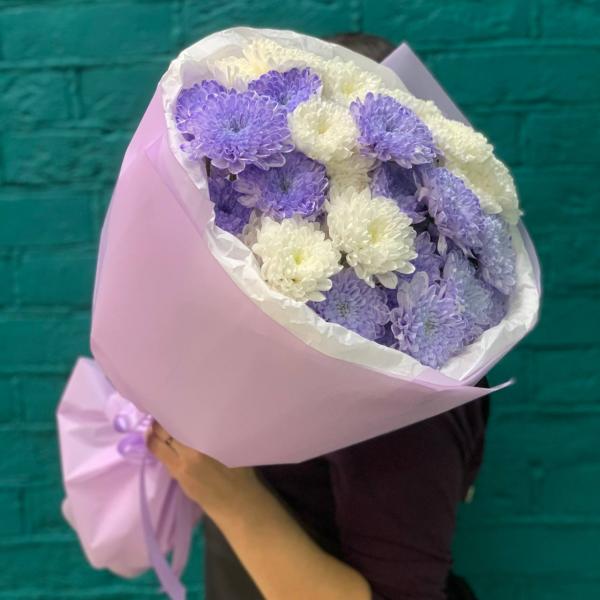 7 лавандово-белых хризантем "Ежевичный йогурт"