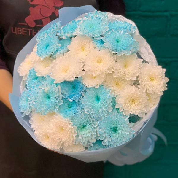 фото 7 голубо-белых хризантем "Небесное сияние"