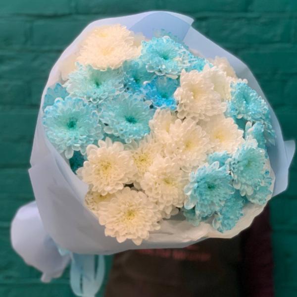 фото 7 голубо-белых хризантем "Небесное сияние"