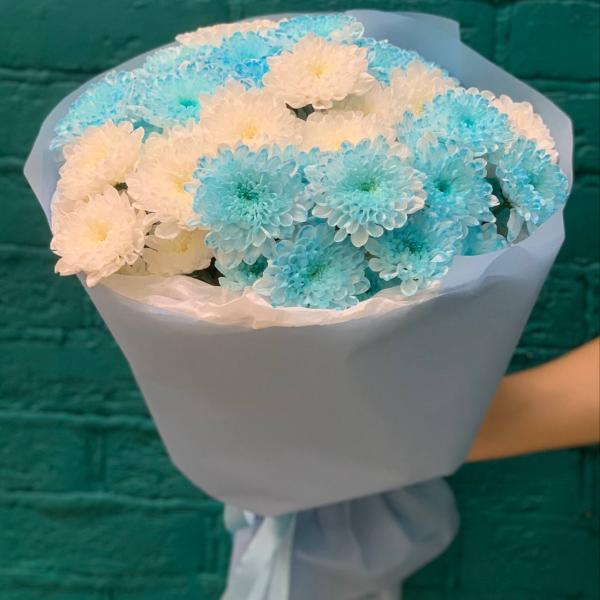 фото 7 голубо-белых хризантем "Небесное сияние"