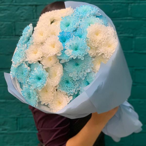 фото 7 голубо-белых хризантем "Небесное сияние"
