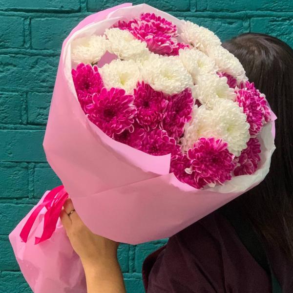 7 малиново-белых хризантем "Вишневый йогурт"